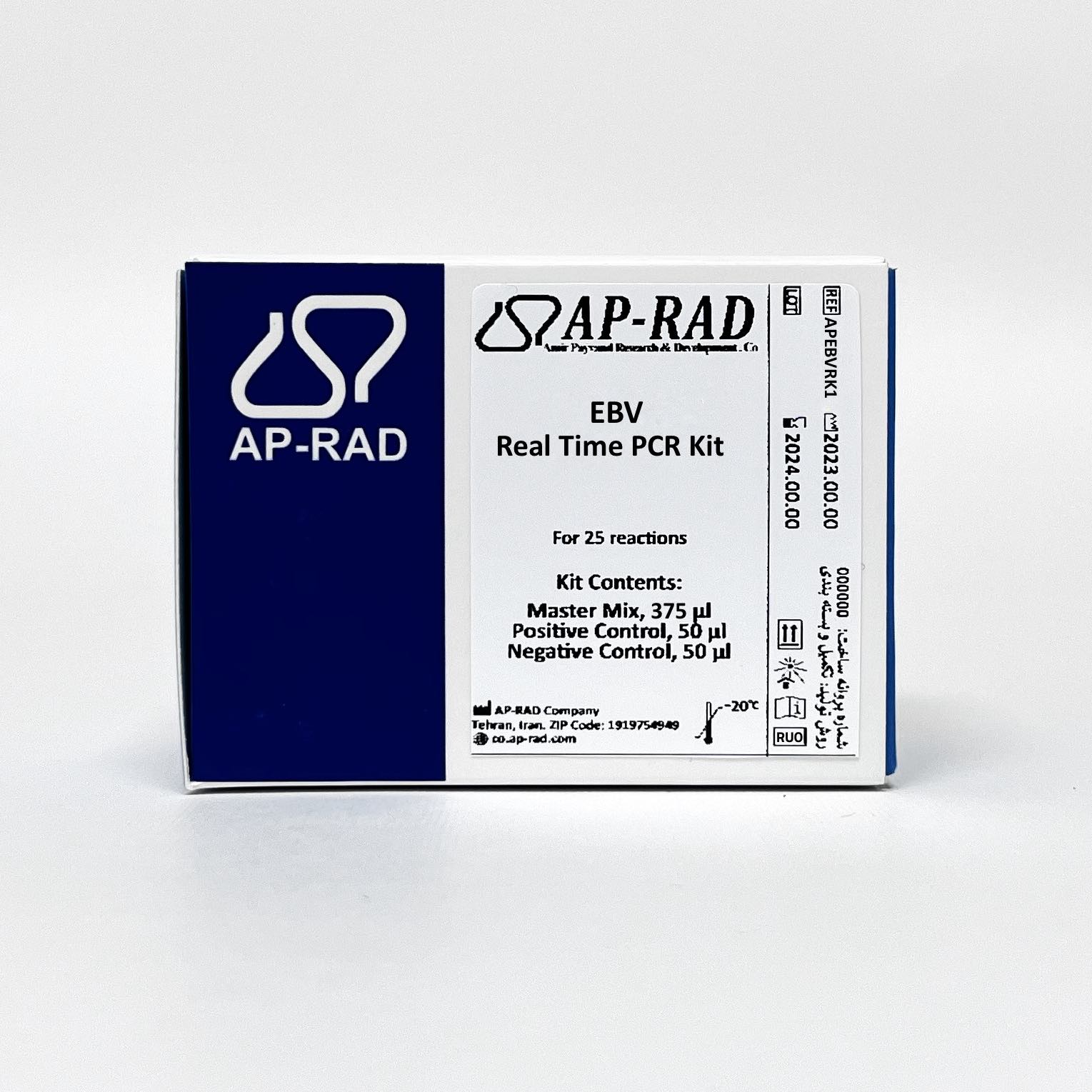 EBV RealTime PCR Kit2